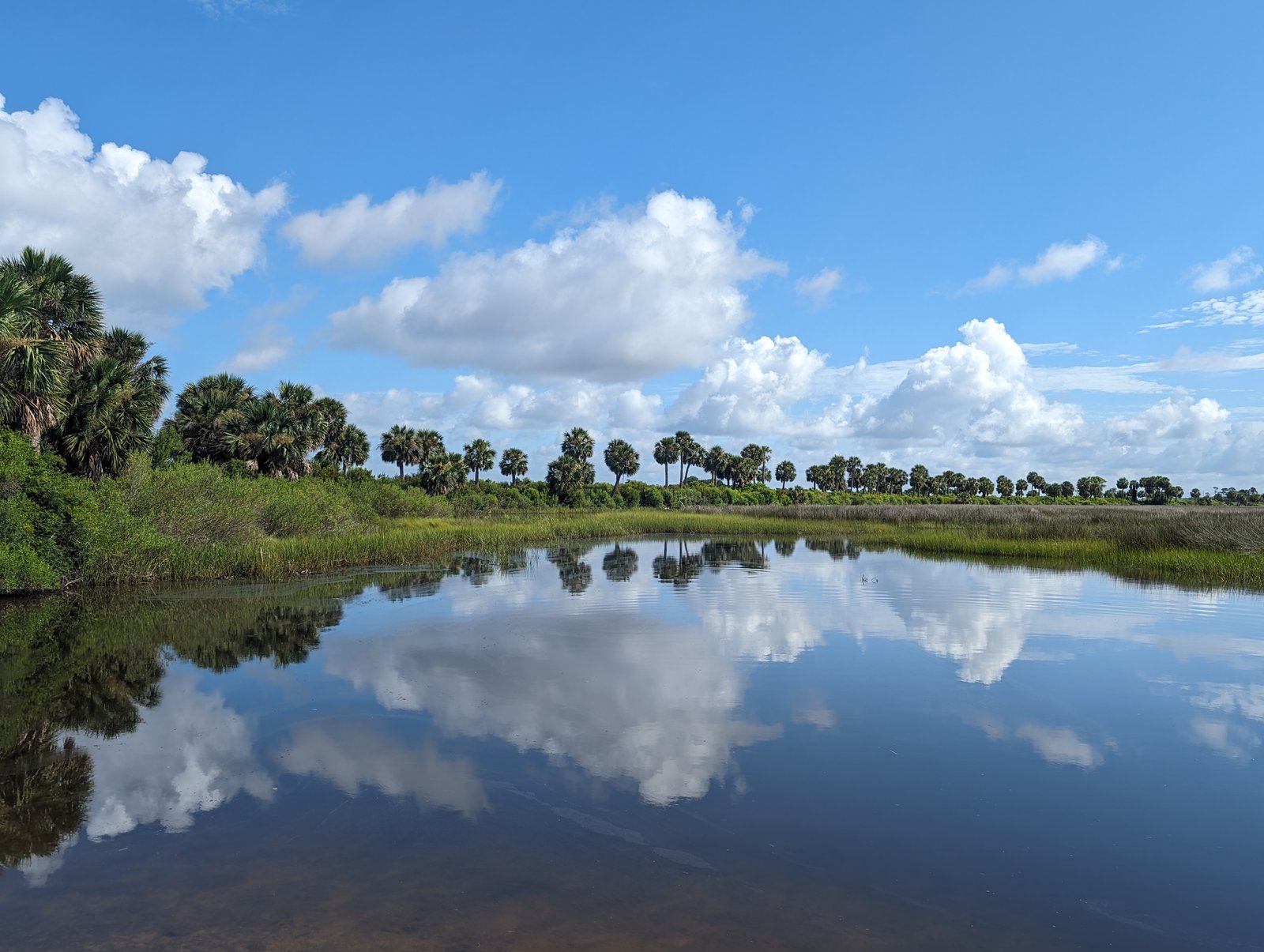 Anthroposophy Florida - Main Banner